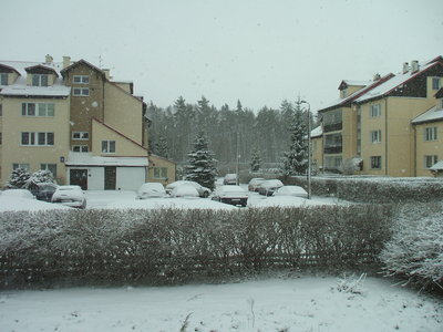 DSCF5154.JPG