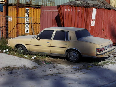 IMGP2406.JPG